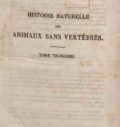 Histoire naturelle des animaux sans vertèbres. Tome troisième
